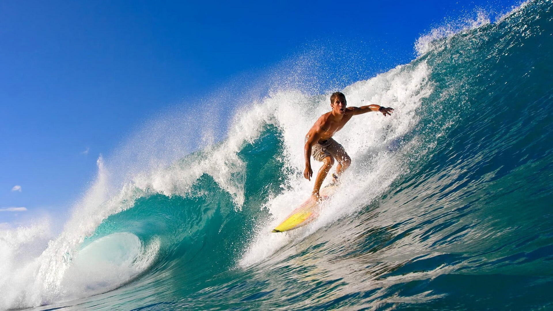 公牛队表现稳健，期待突破，公牛的队