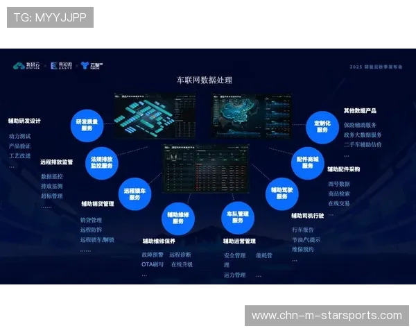 赛车比赛数据驱动战术优化应用